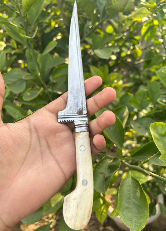Spring Blade Peshkabz